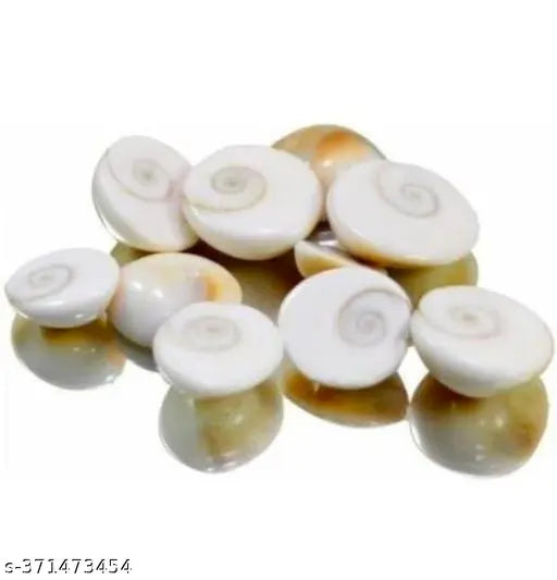 Rakt Gunja 11, Goamti Chakra 11, Kamal Gatta 11, Kodi 11,Haldi Gath 11 For Pooja, Laxmi Pooja, Puja, Diwali Pooja Wooden, Stoneware Yantra (Pack of 55)