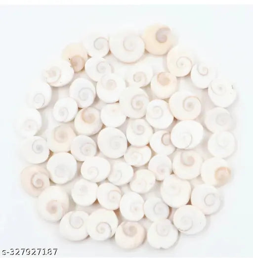 Urmila Traders  Gomati Chakra for Pooja  Pack of 108 piece.