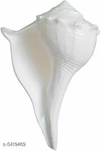 Shankh - Puja, Dakshanavarti Shankh , Conch Shell for Worship, 100% Original and Very Rare Collection by"Make In India - Pick Use - SoilMade"