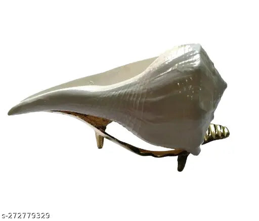 Dakshinavarti Shankh Original with Stand 5 inch  Natural Lakshmi Valampuri Sangu for Pooja Pure White