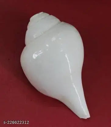 Loud Blowing Shankh for Pooja Original Inch Conch Shell White
