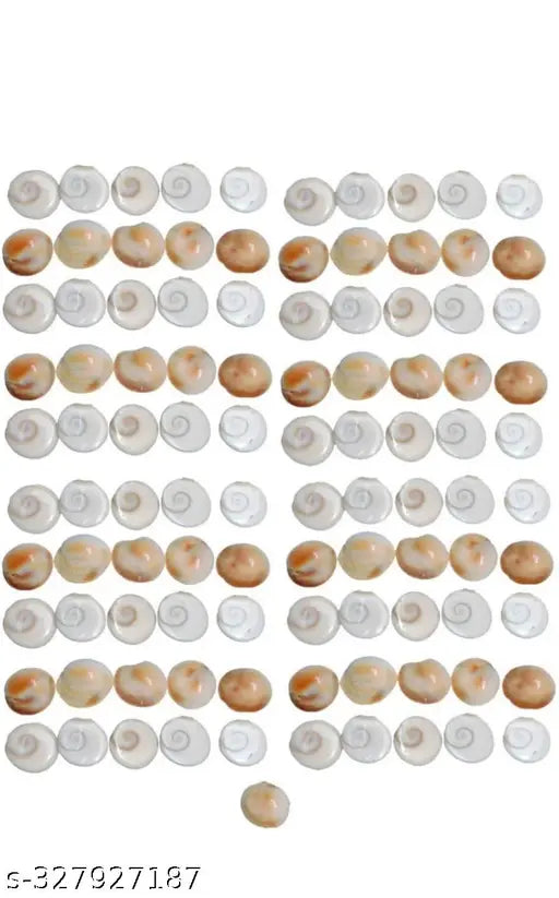 Urmila Traders  Gomati Chakra for Pooja  Pack of 108 piece.