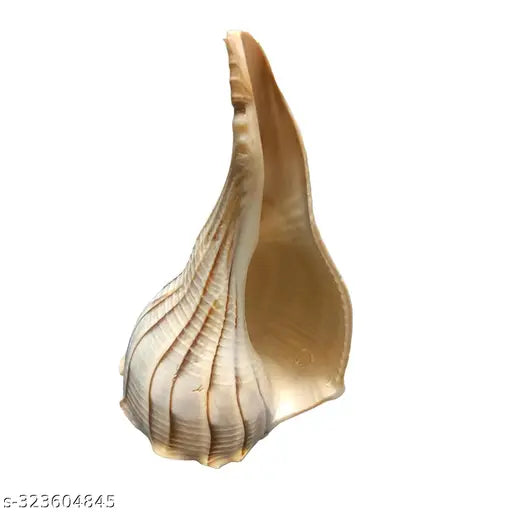 Dakshinavarti Shankh Original for Pooja , Religious Purpose, Traditional Rituals, Temple - 4-5 Inch Brown