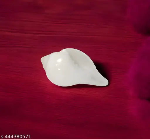 Traditional Conch | Pani Wala Shankh | Premium Quality Jal Shankh for Pooja Room, Arti, Purifies the Environment - 12 cm