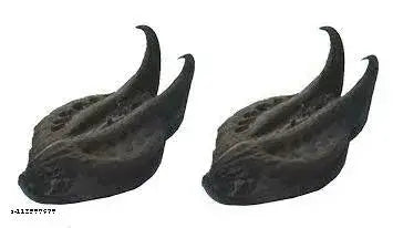 APSARA Devi Sri Guru ji Kit- Devil's Pod - 2 Pcs - Balamudi Yedamudi - 1 Each - Gomti Chakra -5 Pcs - 1 Sanku - 1 Pouch