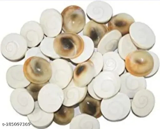 Saraswati Gallery Natural Gomti Chakra From Gomti River. It is used for Ma Laxmi Puja (Set of 11 Peace)