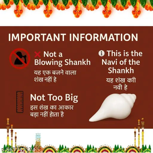 "Original Jal Shankh for Pooja | Blowing Conch Shell for Abhishekam & Vastu Use – 3 to 4 Inch"