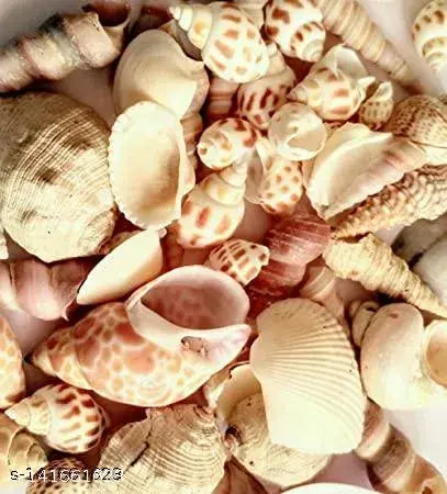A&S VENTURES sea Shell Puja Articles