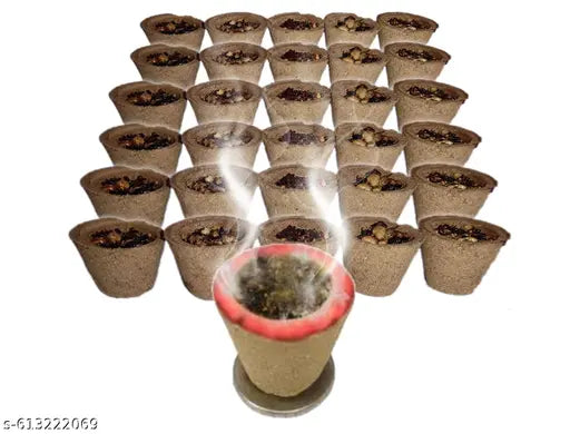 Pransh Gugal Dhoop Cup | Dhoop | Dhup | Gugal | Dhoop Cup | Puja Samagri | Pooja | Puja | Havan | Natural Gugal | Dhoop | Dhup | Mandir Saman Pack of 24 cups