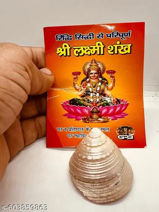 (Pack of 1 )100%  Laxmi Shankh Natural Pearl moti shankh/ shree Yantra for Laxmi puja Goodluck