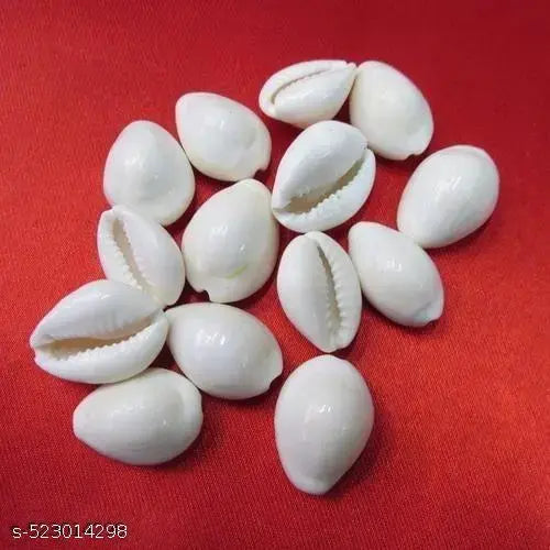 Pack or 21 Bihari ji white kodi Natural pure white kodi Lakshmi poojan and other use