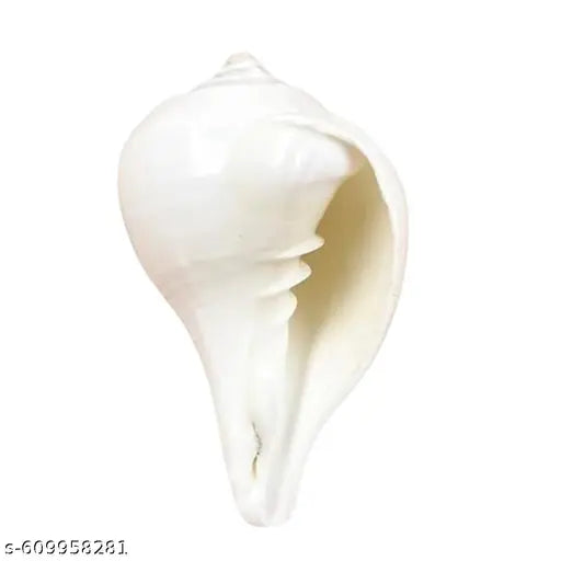 White Shankh for Prosperity, Wealth, and Spiritual Harmony in Home