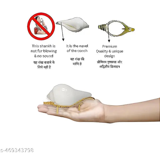 Sacred Jal Shankh with Decorative Brass Stand for Pooja and Home Decor | Spiritual Puja Jol Shankh/Shankha | Natural Non Blowing Conch Shell