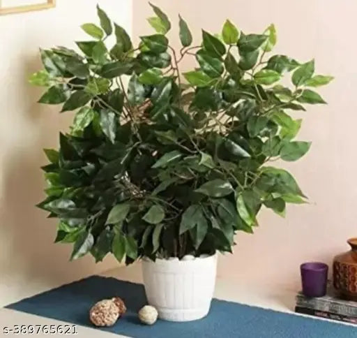 NN Globe Artificial Ficus Spray Leaves, Fake Ficus Tree Branches, Artificial Greenery Plant for Home Office Indoor Porch Décor(Green)