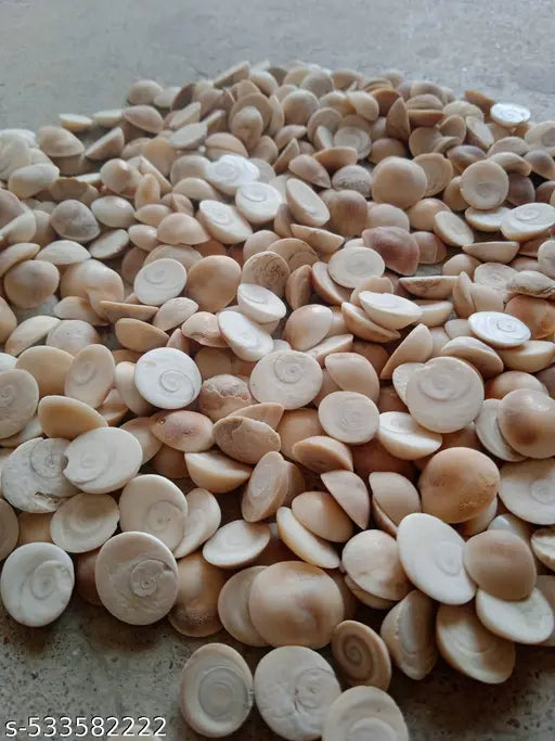 11 Pcs Each Kaudi , Kamal Gatta , Gomti Chakra ,  Gunja Seed