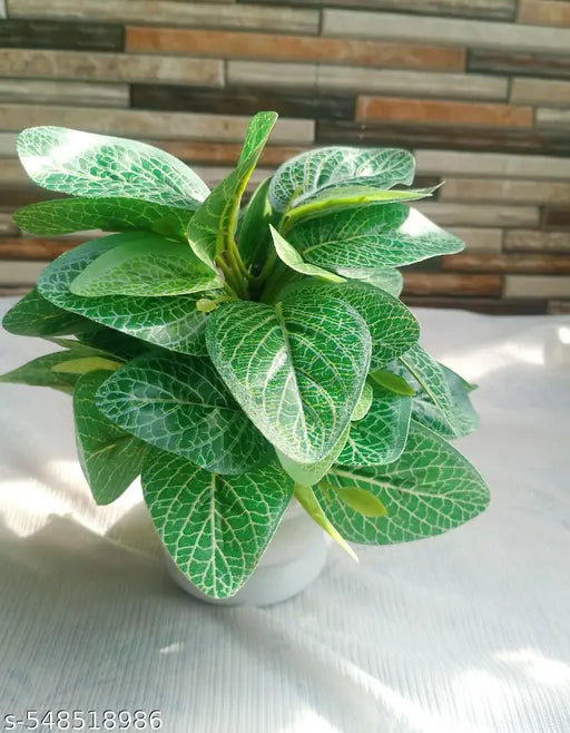 Flora Planet Artificial Plants for Home Decor | Realistic Looking | Home Decor Items | Durable Plastic | Wall Decoration Items for Living Room Dimensions : 6cm X 17cm Pack of 2