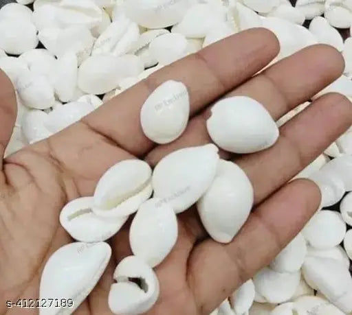 Kriddha 21 Natural Pure White Cowrie Original for Lakshmi Poojan and Bring Good Luck Pack of 21 Pcs Koudi/Kaudi/Kodi (Pack of 21)