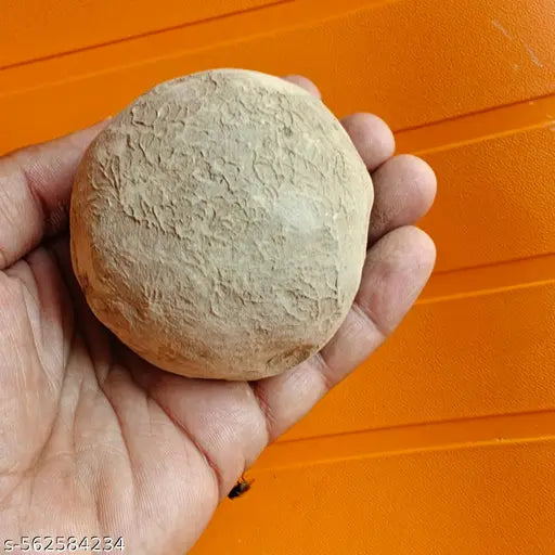 Vrindavan Tilak Raj Ball