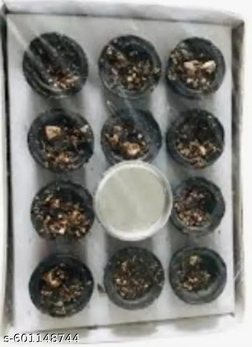 Puja samagri. puja need.dashangum cup.puja thali. pooja special.product under 99 rs.navratra puja thali.Sambrani cup.guggul lobhan cup.dashangum cup.dhuna cup.dhuna puja.dhoopbatti.dhup cup.samgri cup. puja needs