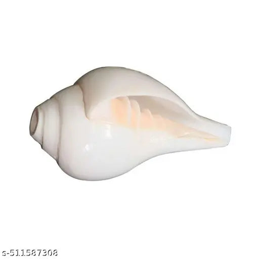 Loud Blowing Shankh - Vamavarti Shankh - Bajnewala - Puja shankh - Original White 5 inch