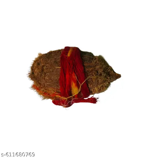 Panch Mukhi Shankh for Puja with Akanshi Nariyal (1 Pc Free)