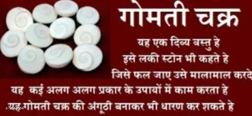Holly Gomti Chakra For Pooja