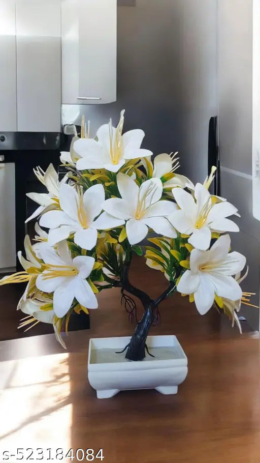 Attractive flowers plant for home , office and kitchen decoration