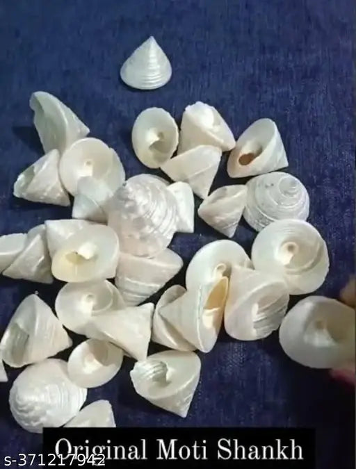 motis shankh decorative seashell 32 pcs 32 motis shankh