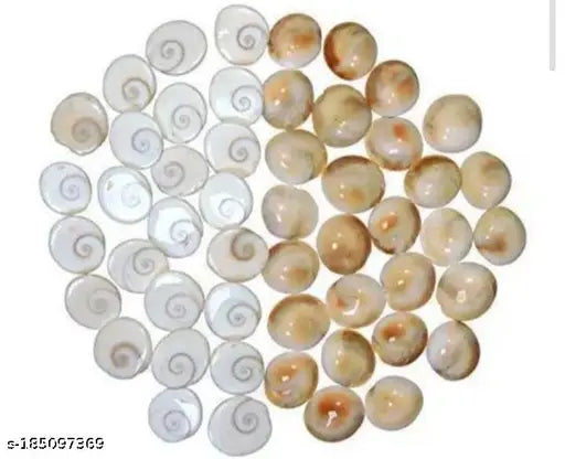 Saraswati Gallery Natural Gomti Chakra From Gomti River. It is used for Ma Laxmi Puja (Set of 11 Peace)