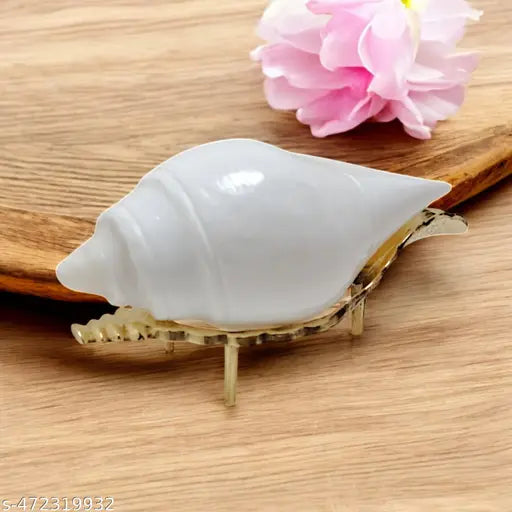 Pooja Jal Shankh & Premium Quality Brass Stand | Home Decor | Spiritual Item | Religious Use | Natural Non Blowing Conch with Brass Stand