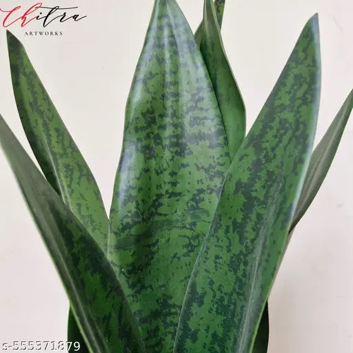 Chitra artworks Artificial Snake Plant with Decorative Pot | Realistic Faux Sansevieria for Home & Office Decor | Low Maintenance Indoor Plant | Lifelike Greenery for Tabletop, Shelf & Corner Display