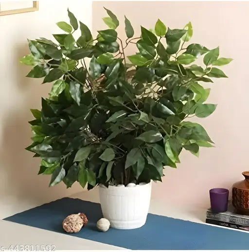 AKP Pack Of 6 Artificial Ficus Plants & 42 Leaves for Indoor Outdoor Install & Washable Perfect Product for Your Home Decor (GREEN)