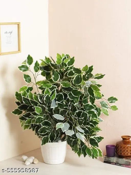 AK TRADERS  Artificial Trees Leaves Decorative Ficus Plants & 42 Leaves Theme Created This Product Easy Install &Washable Perfect Product for Your Home Decor (60 cm Tall, Set of 6, Green/White)