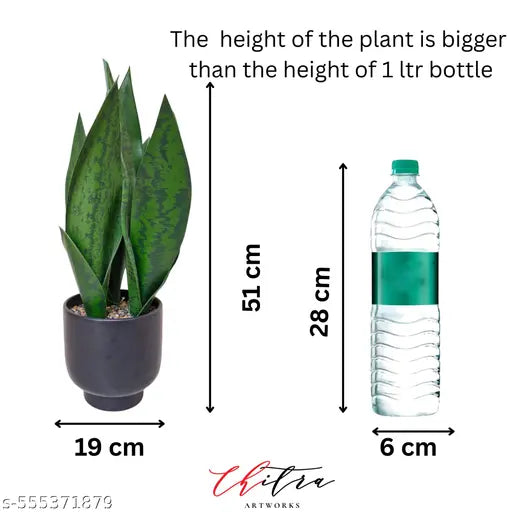 Chitra artworks Artificial Snake Plant with Decorative Pot | Realistic Faux Sansevieria for Home & Office Decor | Low Maintenance Indoor Plant | Lifelike Greenery for Tabletop, Shelf & Corner Display