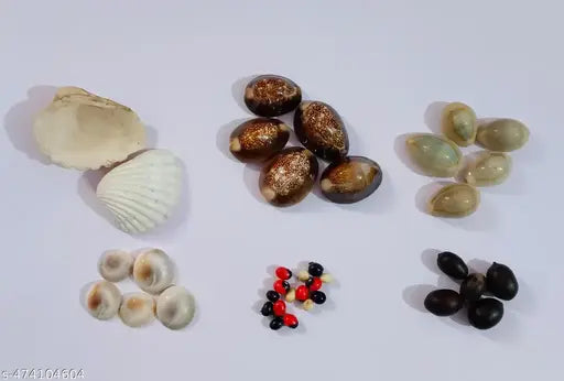 Pooja combo set (Black Cowdi , White Cowdi-Each 5 pcs) // (Red Black Gunja , Black Gunja , White Gunja –Each 5 pcs) // (Kamal Gatta Seeds-5 pcs) // (Gomati Chakra for Lakshmi Puja-5 pcs ) -Free Natural color sippi -1 )