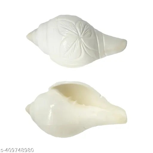 Jol Shankha for Pooja | Pani Jol Sankha Size M