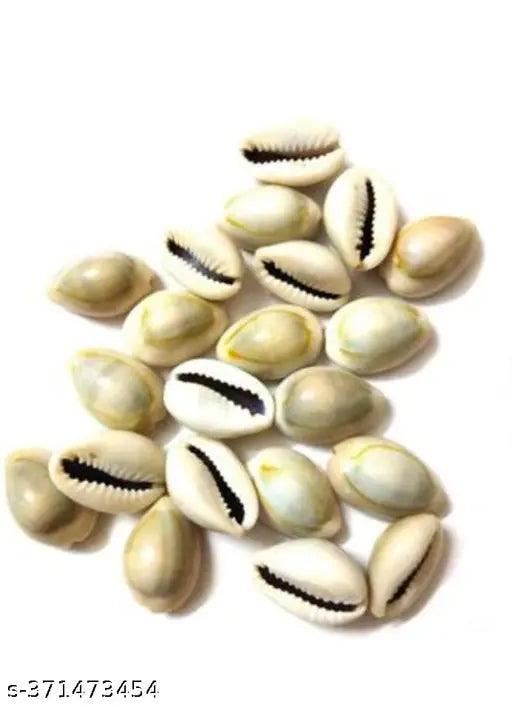 Rakt Gunja 11, Goamti Chakra 11, Kamal Gatta 11, Kodi 11,Haldi Gath 11 For Pooja, Laxmi Pooja, Puja, Diwali Pooja Wooden, Stoneware Yantra (Pack of 55)