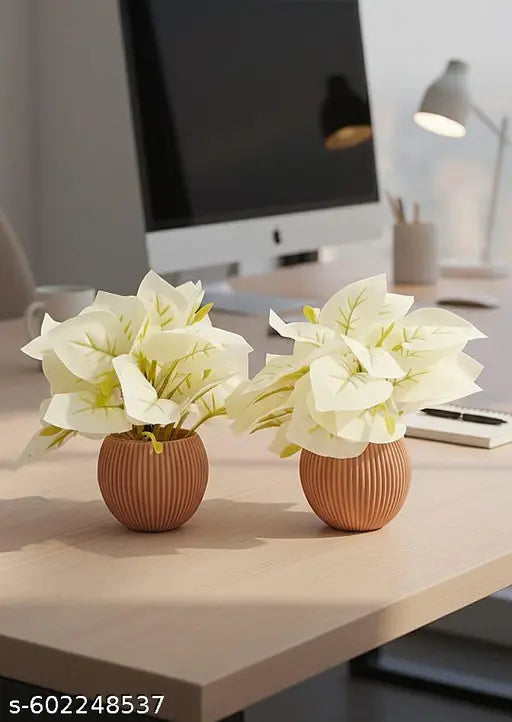 Compact WHITE Leaf Plant for Home & Office Decor