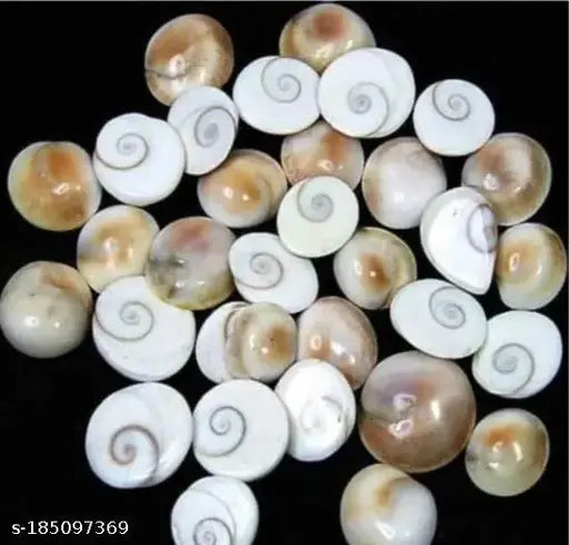 Saraswati Gallery Natural Gomti Chakra From Gomti River. It is used for Ma Laxmi Puja (Set of 11 Peace)