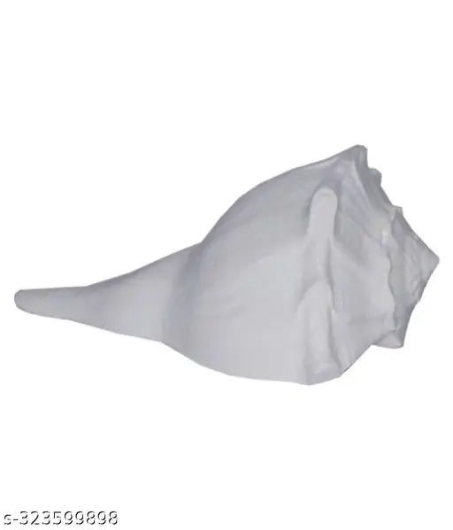 Dakshinavarti shankh, Natural Pooja Dakshinavarti Shankh Original from Rameswaram / ???????????? ??? / dakshinavarti shankh and Natural Size-4.5-5 inch