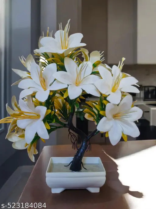Attractive flowers plant for home , office and kitchen decoration