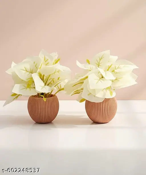 Compact WHITE Leaf Plant for Home & Office Decor