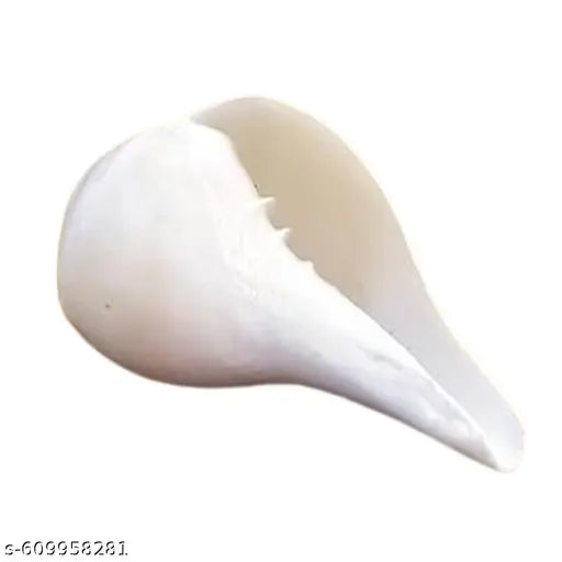 White Shankh for Prosperity, Wealth, and Spiritual Harmony in Home
