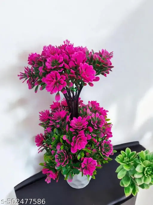 Attractive flowers plant for home , office and kitchen decoration