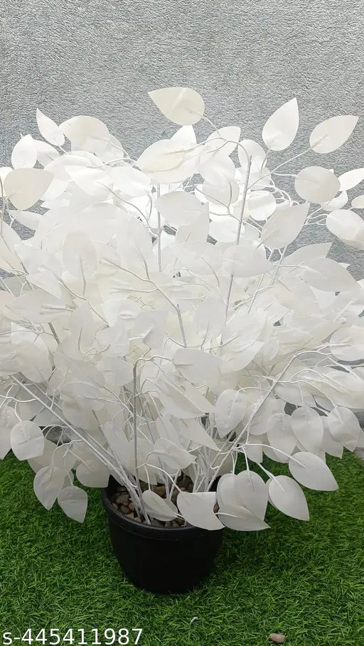 Pack of 4 pic White colour artificial ficus leaf for decoration