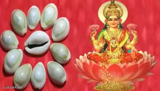 YATHARTH - Natural Sada Black? Cowdi-Kauri - Kowri - Cowry - Kaudi - Gavvalu - Shells- Set of 108 Pices for Laxmi Pooja.