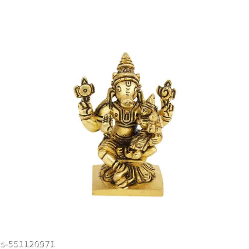 Shreeyaash Brass Varahi Amman Idol for Temple & Pooja Room | Handcrafted Goddess Varahi Statue for Protection, Strength
