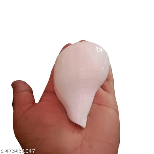 Srimaa Ventures Lord Vishnu Shankh Blowing Vamavarthi Shankh | Authentic Left-Handed Blowing Shankh for Home Pooja, Temple