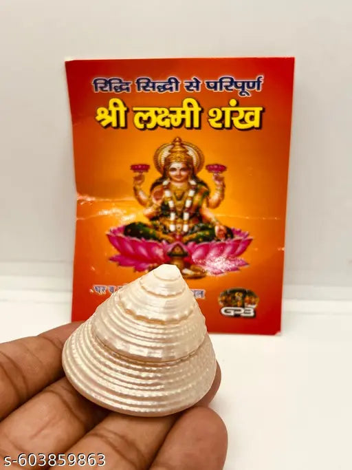 (Pack of 1 )100%  Laxmi Shankh Natural Pearl moti shankh/ shree Yantra for Laxmi puja Goodluck