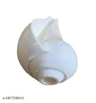 medium Size Shankh for Blowing, Pooja Size 4.5 to 5.5 inches with Loud Sound/Counch Shell